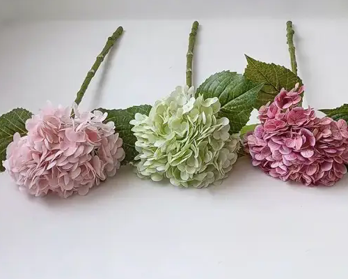 কৃত্রিম হাইড্রঞ্জিয়া কীভাবে চয়ন করবেন?