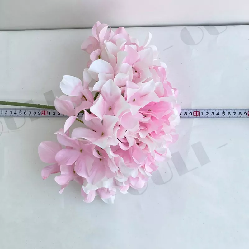 বড় হাইড্রেনজিয়া ছদ্ম ফুল